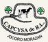 Capcysa