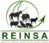 Reinsa