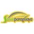 Stevia Paraguaya