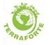 Terraforte