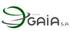 Grupo Gaia