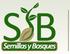SEMILLAS Y BOSQUES