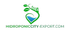 Hidroponic City- Export