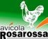 Avícola Rosarossa