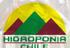 Hidroponía Chile