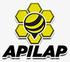 Apilap