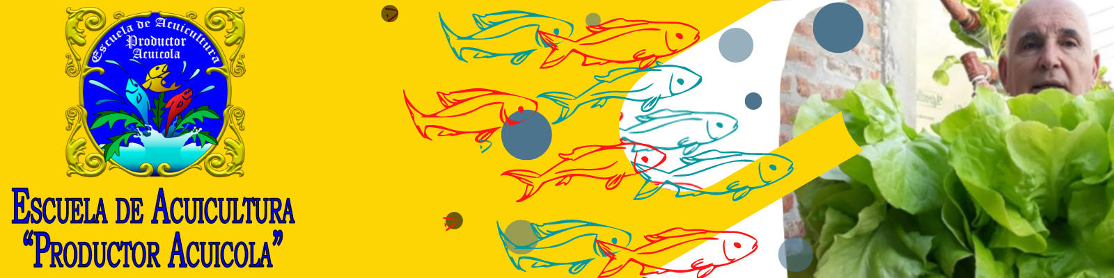 Diplomado Internacional Online: Acuicultura controlada con Acuaponía en Economía Circular