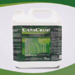 CañaCrop fertilizante líquido