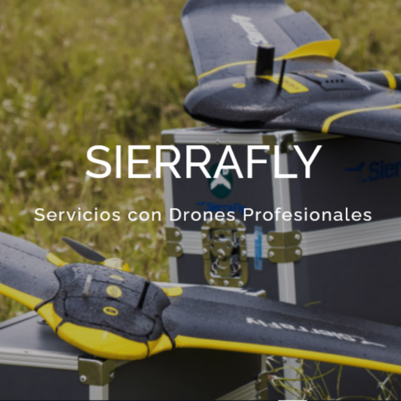 drones profesionales