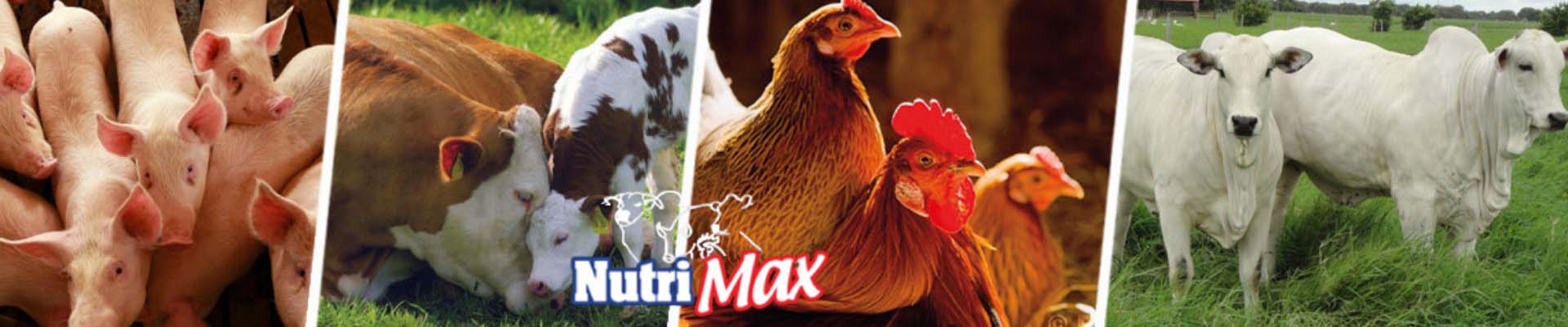 comercialización productos nutrición animal