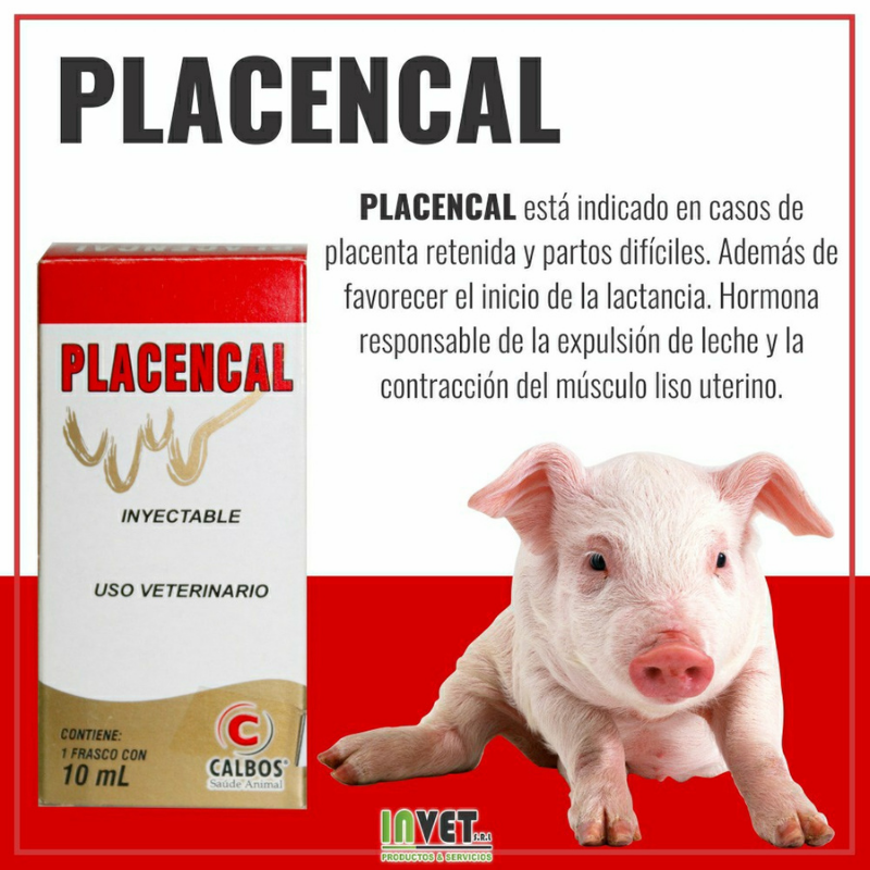invet placencal