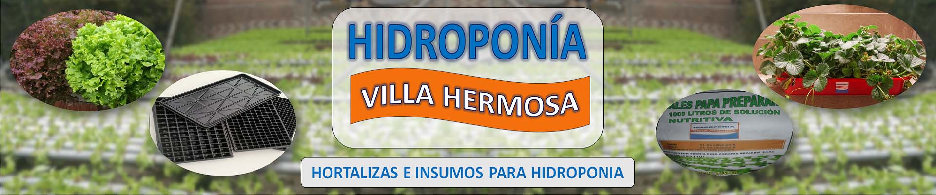 Hidroponía Villa Hermosa