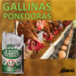 Alimento balanceado para Gallinas Ponedoras