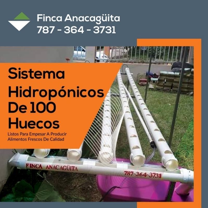 Sistema hidropónico para 100 plantas. Cortesía de: Finca Anacagüita.