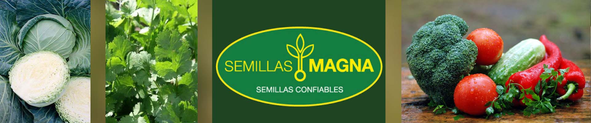 Banner Semillas magna