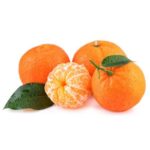 Plantones de Mandarina