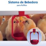 Sistema de bebedero para pollos de engorde