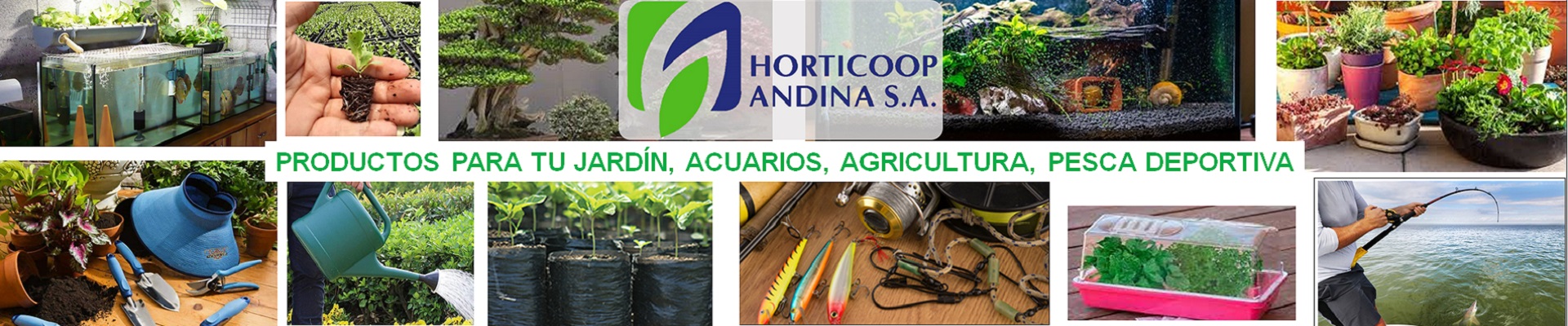 Horticoop Andina
