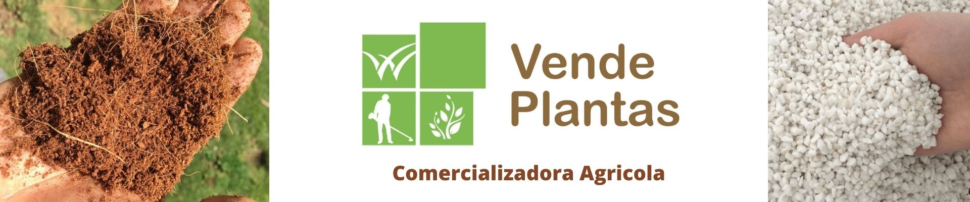 Banner Vende Plantas