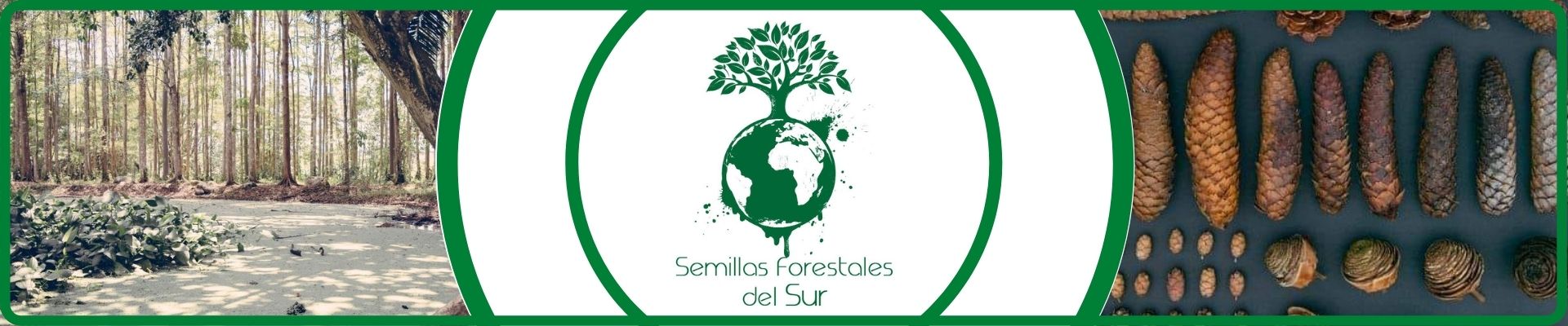 Semillas forestales del sur agroshow banner