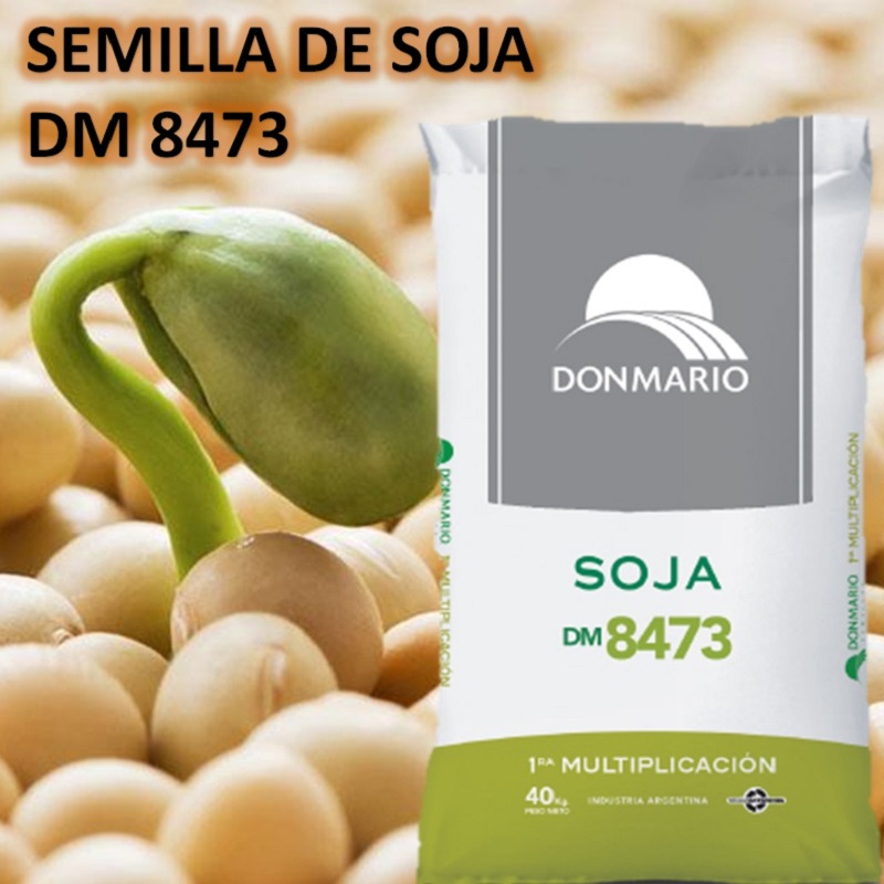 semilla de soja DM 8473