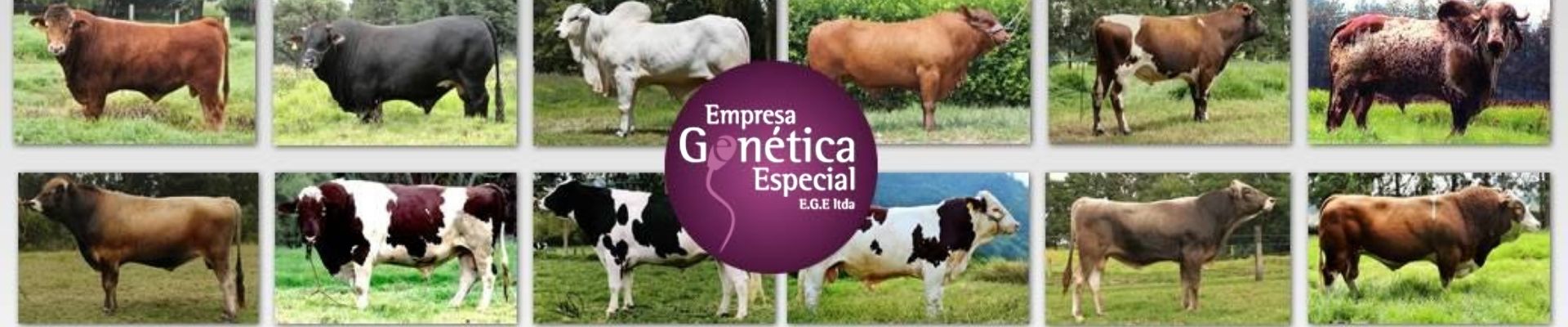 Empresa-Genética-Especial-agroshow