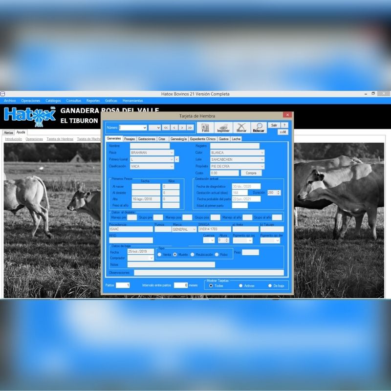 Software para bovinos