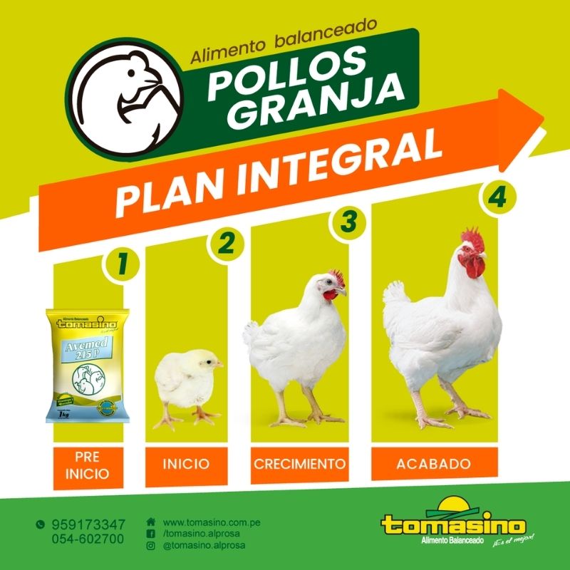 Alimento balanceado para pollos de inicio - Tomasino Perú - Agroshow