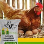 Alimento para gallina Cortesía de: Corporación Loma Verde.