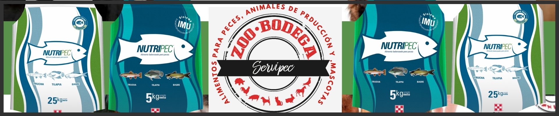 zoo-bodega agroshow banner