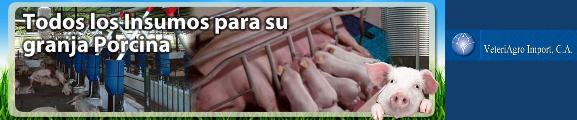 equipamiento granjas porcinas