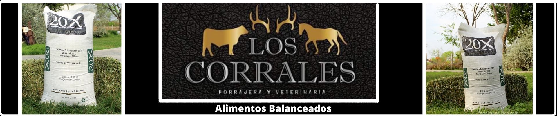 Banner Forrajera Los Corrales