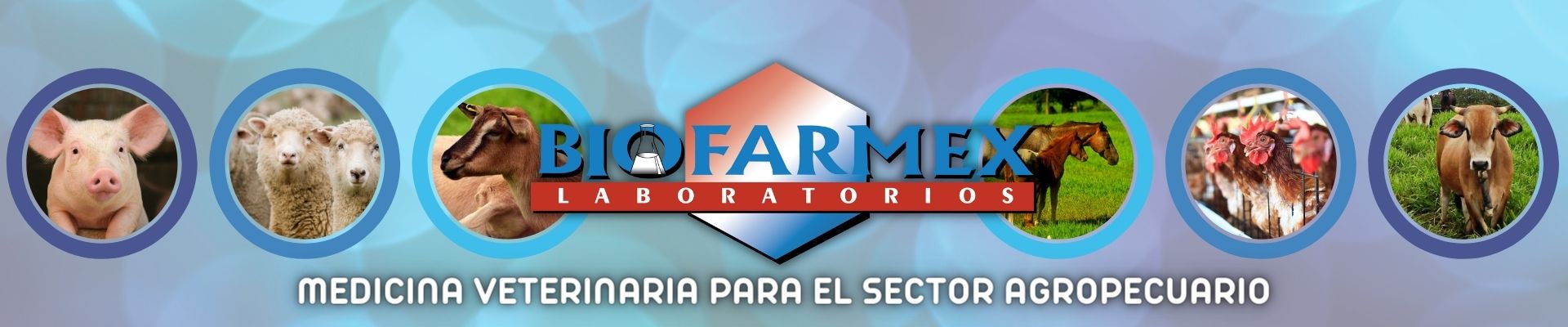Biofarmex-agroshow