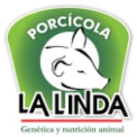 Logos Porcicola la Linda
