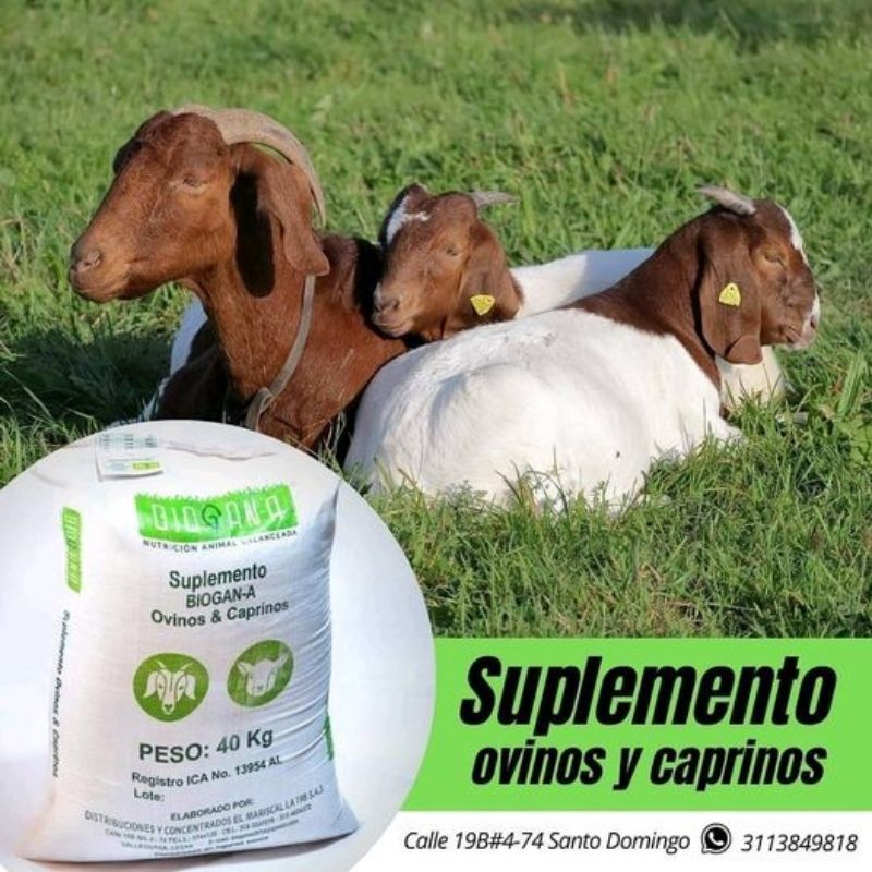 Suplemento mineral para ovinos y caprinos. Cortesía de: BIOGAN-A.
