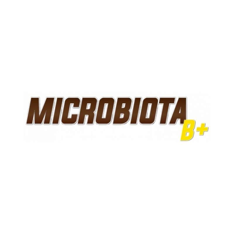 MICROBIOTA
