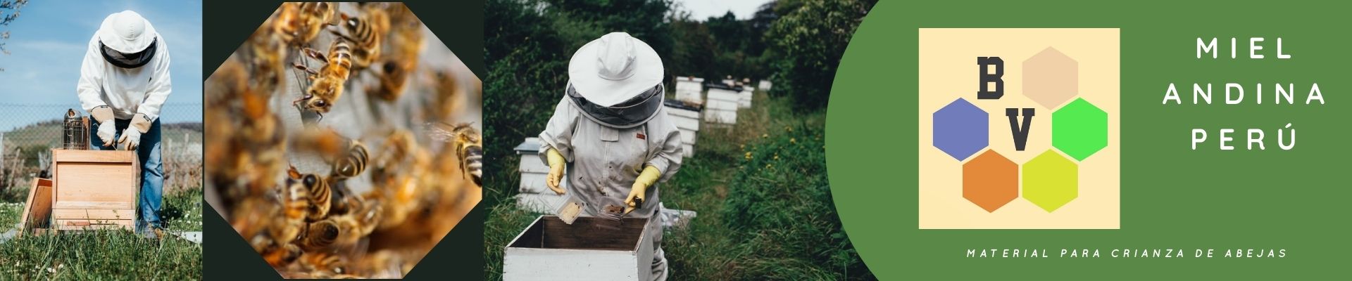 material para crianza de abejas