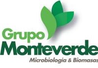 Grupo Monteverde