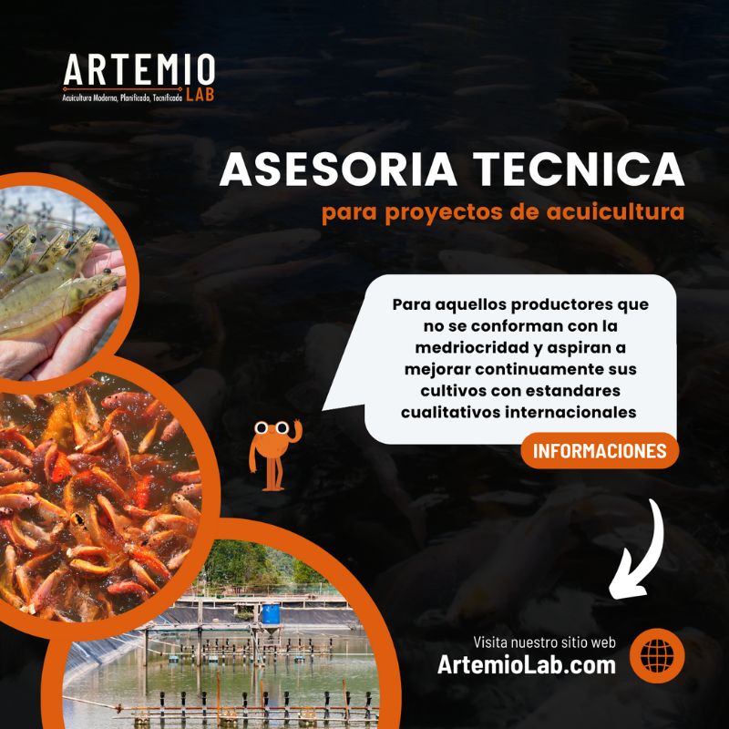 Asesoría profesional en Acuicultura-Artemio Lab