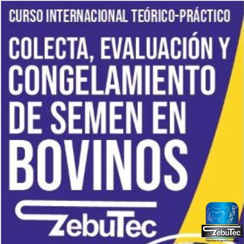 Curso de Evaluación y congelamiento de Semen en Bovinos- Zebutec