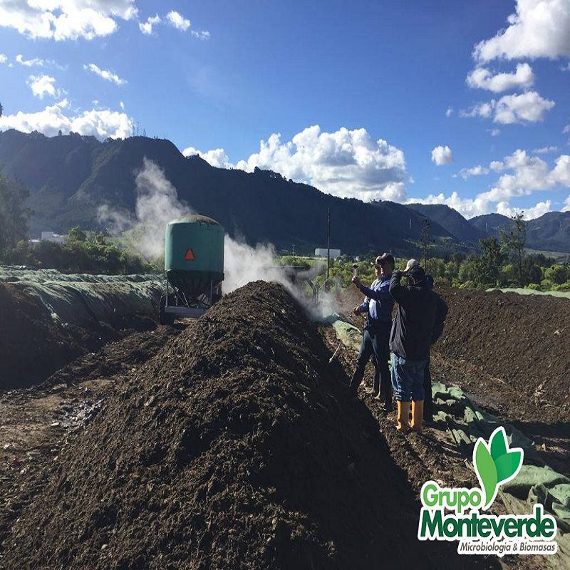 Servicio de Consultoría Agrícola- Grupo Monteverde