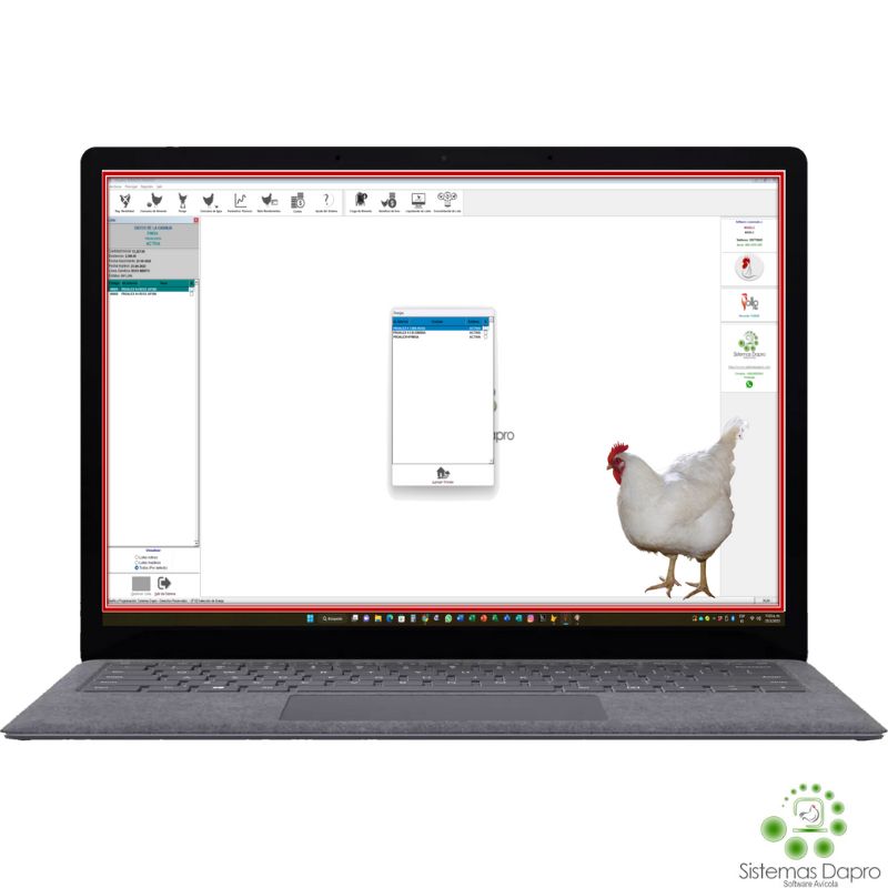 Software Avícola para Pollos de Engorde-Sistemas Dapro